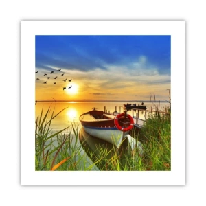 Affiche - Poster - Les cormorans s'envolent déjà - 40x40 cm