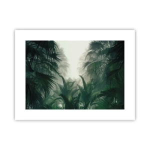 Affiche - Poster - Secret tropical - 40x30 cm