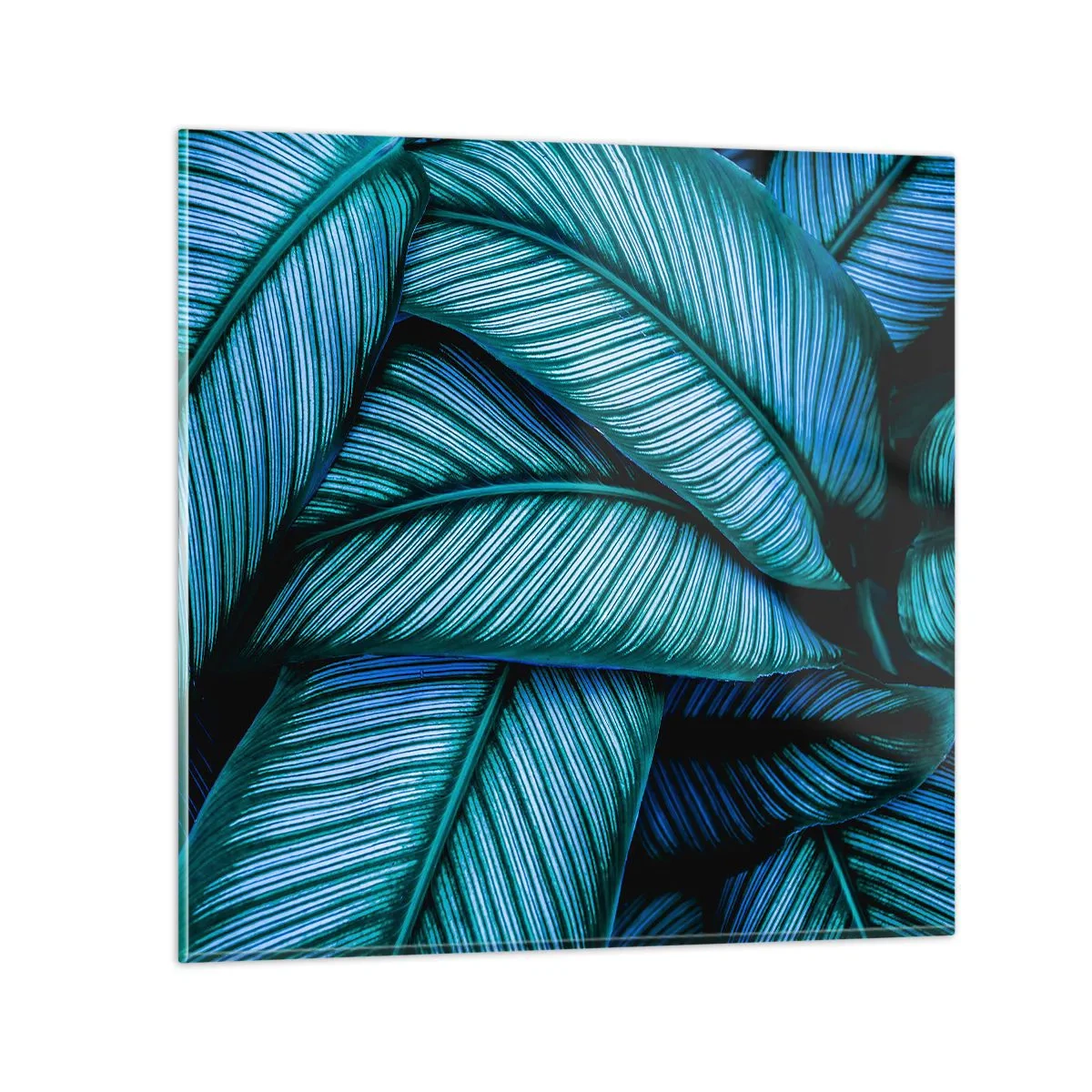 Impression sur verre - Image sur verre - Lignes de vie - 40x40 cm