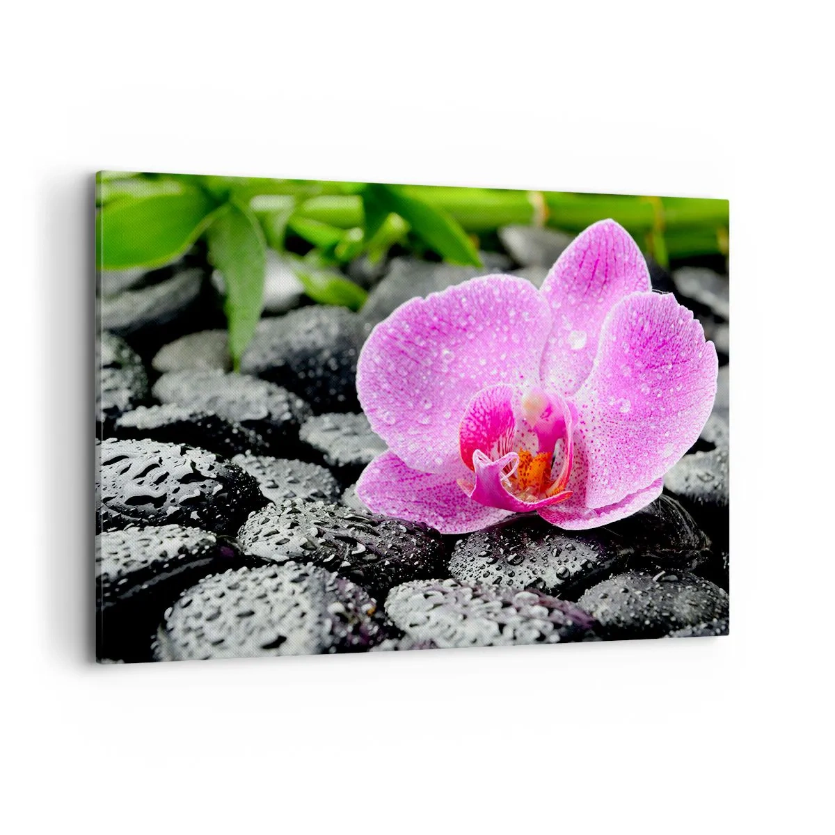 Impression sur toile - Image sur toile - Orchidée rose sur des pierres noires humides avec des feuilles vertes - 120x80cm - Comme un coeur ouvert - Décoration murale moderne pour le salon et la chambre ARTTOR