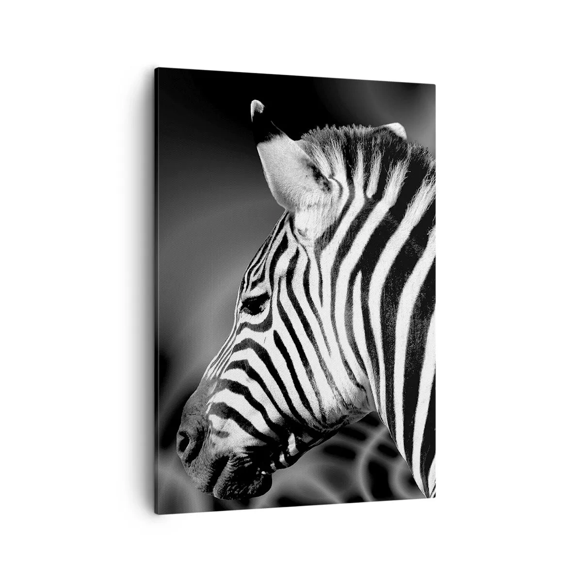 Impression sur toile - Image sur toile - Portrait noir et blanc d'un zèbre sur fond de motifs abstraits. - 50x70cm - Blanc c'est blanc et noir c'est noir - Décoration murale moderne pour le salon et la chambre ARTTOR