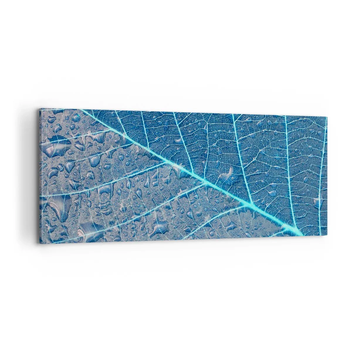 Impression sur toile - Image sur toile - La vie en bleu - 100x40 cm