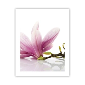 Affiche - Poster - Délicat comme une brise de printemps - 40x50 cm