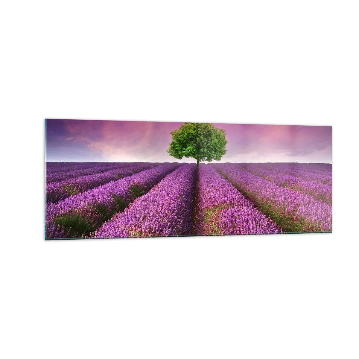 Impression sur verre - Image sur verre - Un champ de lavande avec un arbre solitaire et un ciel violet - 140x50cm - Dans un champs de lavande - Décoration murale moderne pour le salon et la chambre ARTTOR