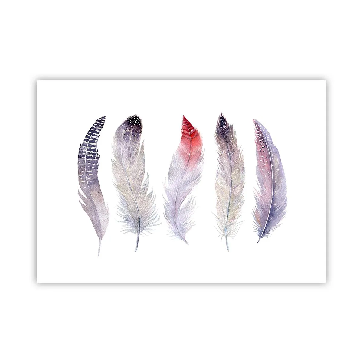 Affiche - Poster - Cinq plumes délicates aux tons pastel sur fond clair - 100x70cm - Délicat comme un brouillard multicolore - Décoration murale moderne pour le salon et la chambre ARTTOR