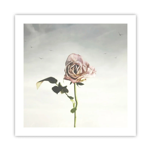 Affiche - Poster - Bonjour de printemps - 50x50 cm