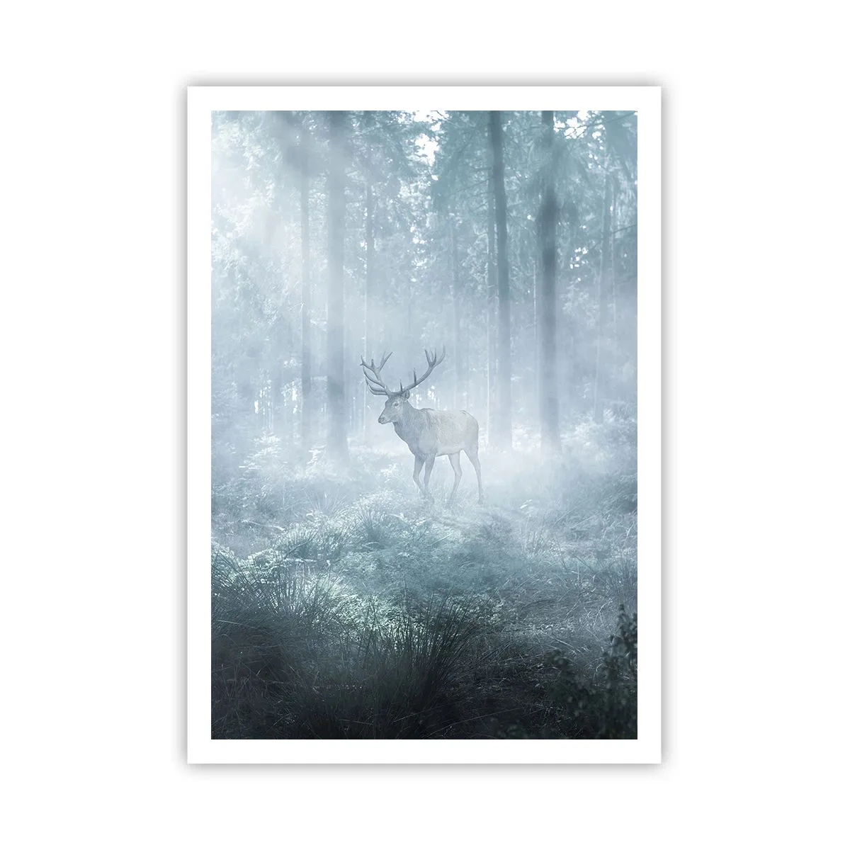 Affiche - Poster - Visite matinale du domaine - 70x100 cm