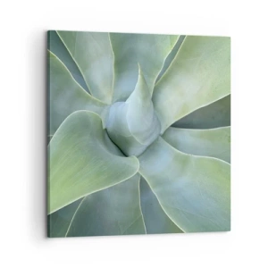 Impression sur toile - Image sur toile - La naissance de la verdure - 60x60 cm