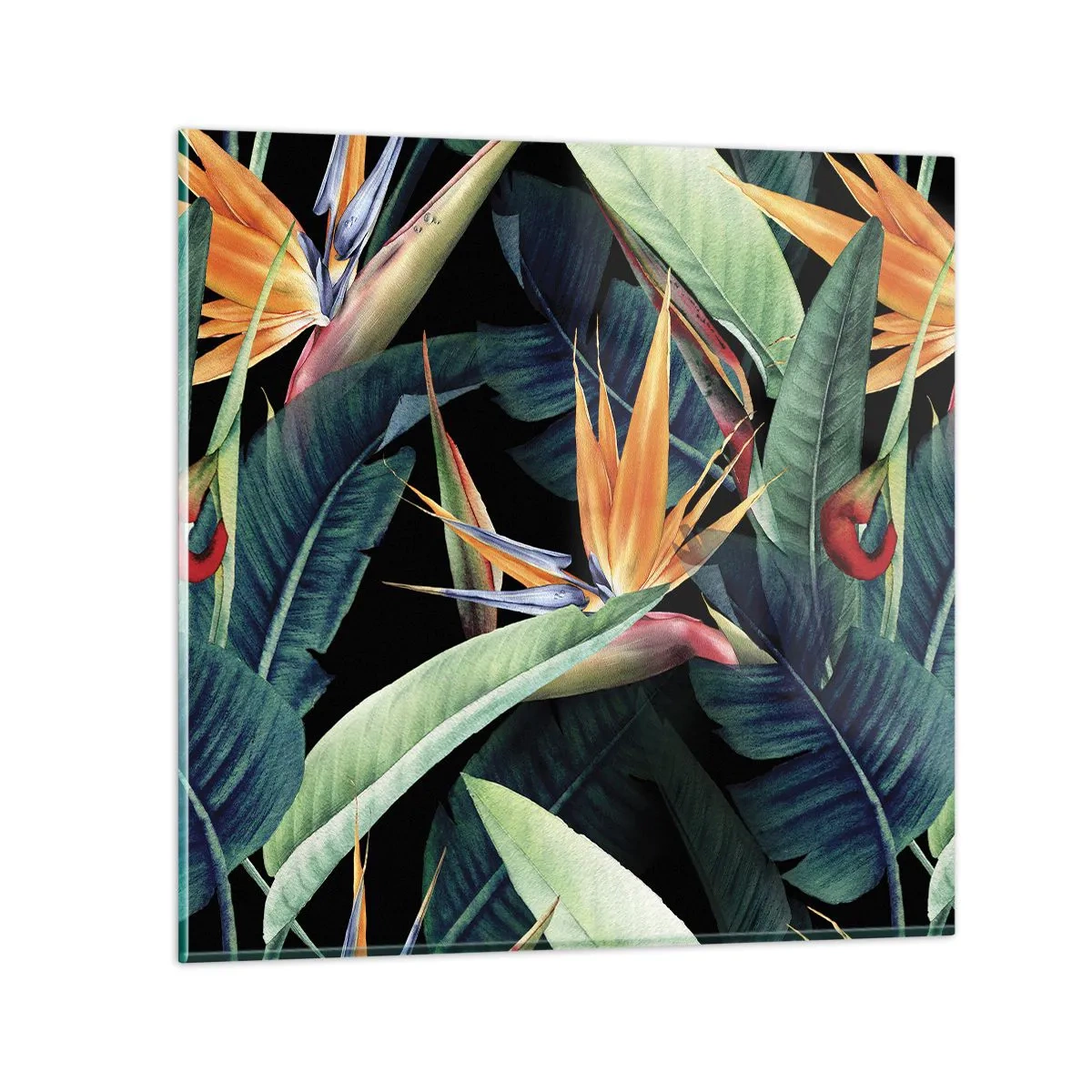 Impression sur verre - Image sur verre - Fleurs flamboyantes des tropiques - 40x40 cm