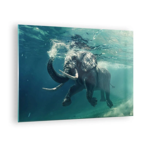 Impression sur verre - Image sur verre - Un éléphant nageant sous l'eau dans l'océan bleu - 70x50cm - Tout le monde aime nager - Décoration murale moderne pour le salon et la chambre ARTTOR