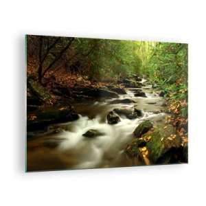 Impression sur verre - Image sur verre - Un ruisseau dans la forêt entouré de pierres et de feuilles - 70x50cm - Comme de l'argent liquide - Décoration murale moderne pour le salon et la chambre ARTTOR