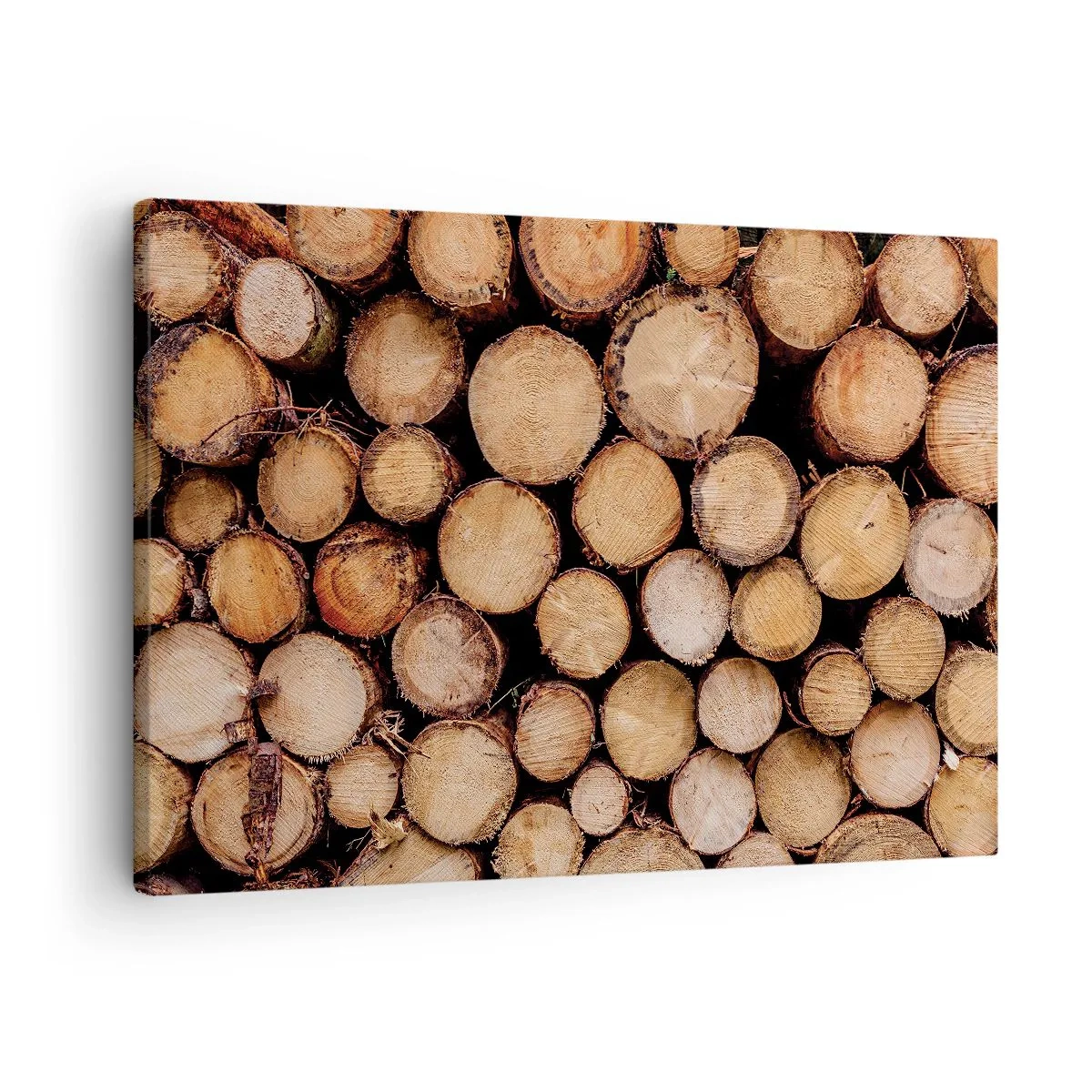 Impression sur toile - Image sur toile - Des tas de troncs d'arbres abattus disposés en harmonie - 70x50cm - Nouveau commencement - Décoration murale moderne pour le salon et la chambre ARTTOR
