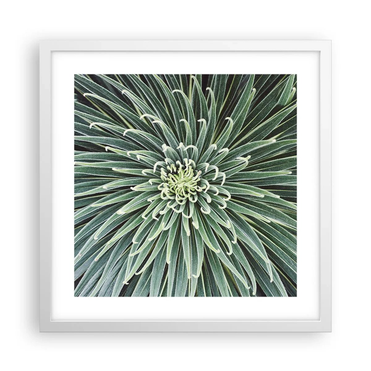 Affiche dans un cadre blanc - Poster - Naissance d'une étoile - 40x40 cm