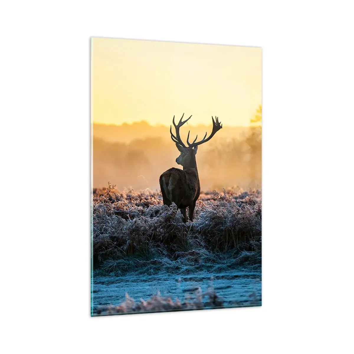 Impression sur verre - Image sur verre - Un cerf dans une clairière gelée au lever du soleil - 80x120cm - Couronné pour sa succession - Décoration murale moderne pour le salon et la chambre ARTTOR