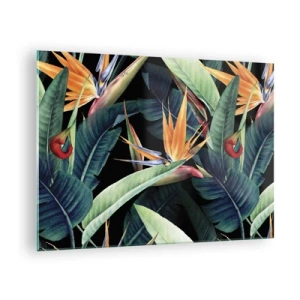 Impression sur verre - Image sur verre - Fleurs de Strelitzia et feuilles tropicales sur fond noir - 70x50cm - Fleurs flamboyantes des tropiques - Décoration murale moderne pour le salon et la chambre ARTTOR