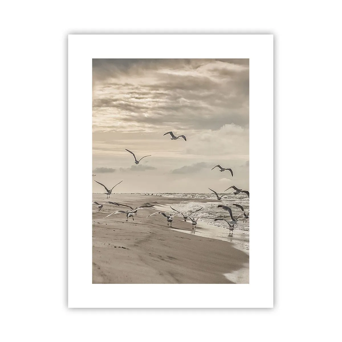 Affiche - Poster - Le bruit de la mer, le chant des oiseaux - 30x40 cm