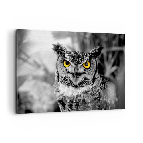 Impression sur toile - Image sur toile - Une photo en noir et blanc d'un hibou aux yeux jaunes - 100x70cm - Rien ne se cachera - Décoration murale moderne pour le salon et la chambre ARTTOR