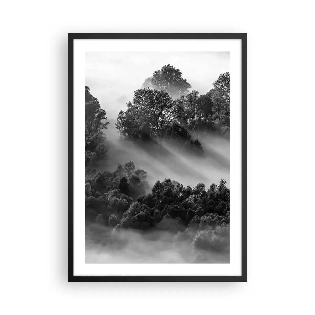 Affiche dans un cadre noir - Poster - Forêt brumeuse aux nuances de noir et blanc - 50x70cm - Sortir de son sommeil - Décoration murale moderne pour le salon et la chambre ARTTOR