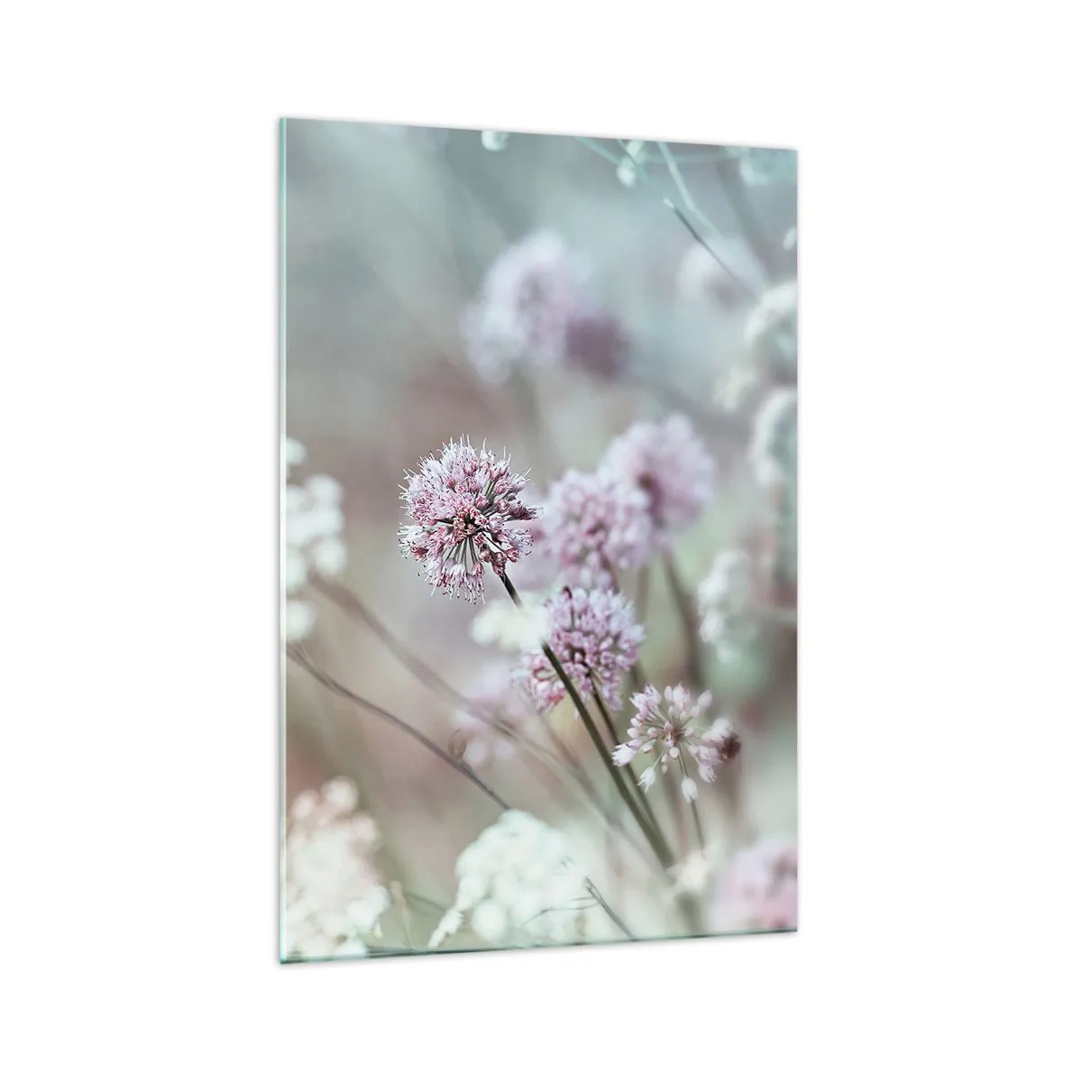 Impression sur verre - Image sur verre - Fleurs délicates aux tons pastel - 70x100cm - Herbes douces en filigrane - Décoration murale moderne pour le salon et la chambre ARTTOR