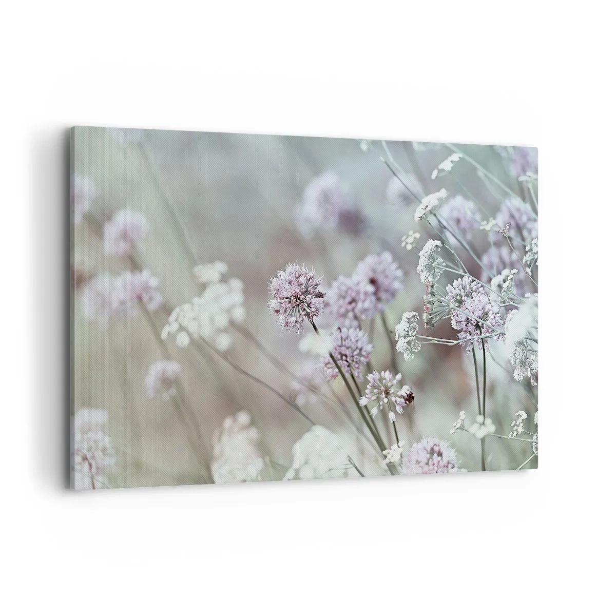 Impression sur toile - Image sur toile - Fleurs délicates aux tons pastel - 120x80cm - Herbes douces en filigrane - Décoration murale moderne pour le salon et la chambre ARTTOR