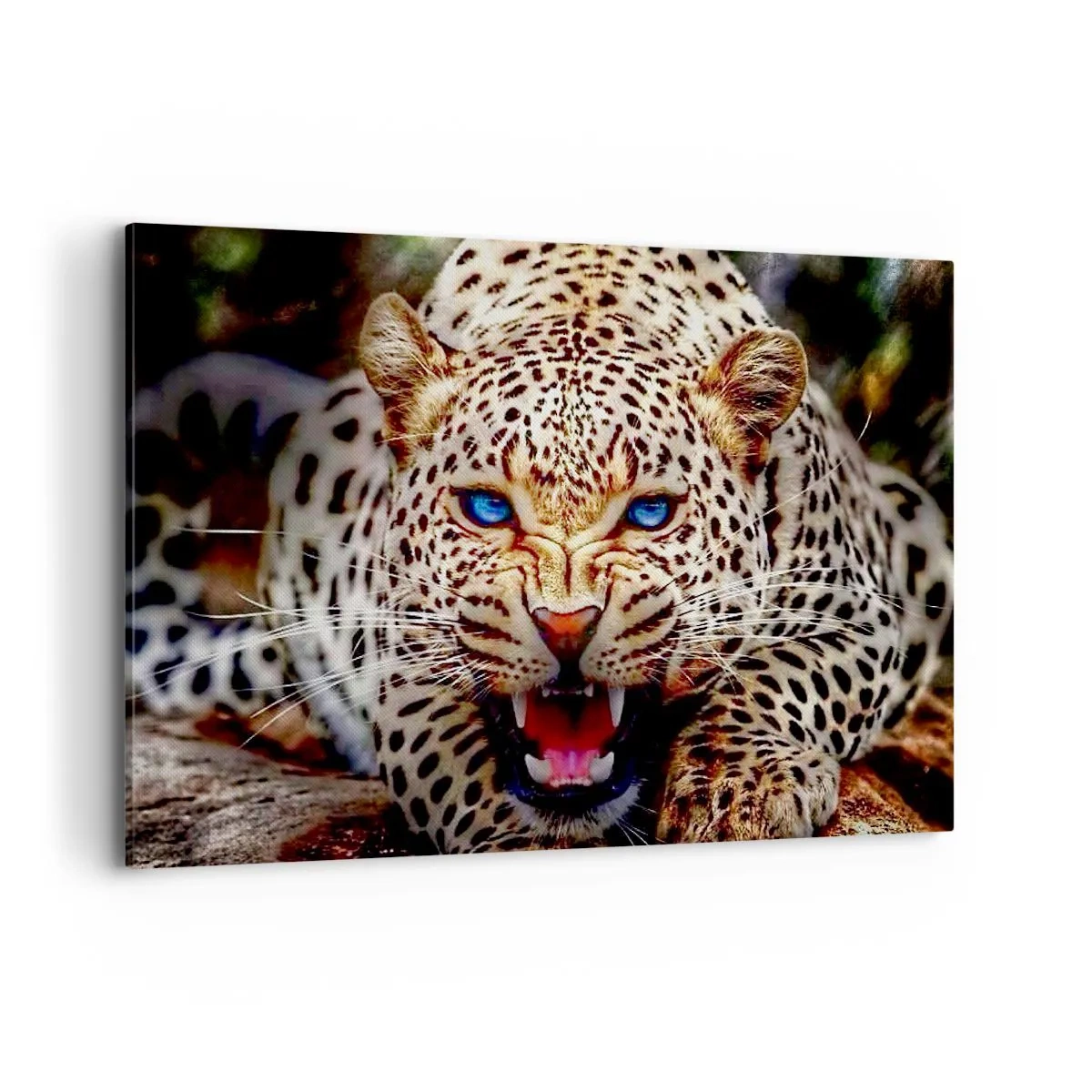 Impression sur toile - Image sur toile - Un léopard menaçant aux yeux bleus intenses - 100x70cm - La colère de la beauté ne fait pas de mal - Décoration murale moderne pour le salon et la chambre ARTTOR