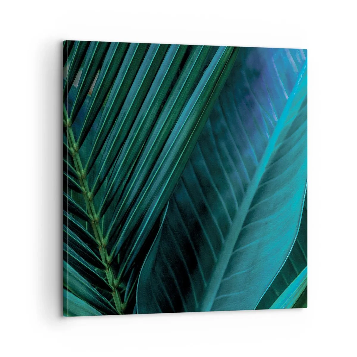 Impression sur toile - Image sur toile - L'anatomie du vert - 60x60 cm