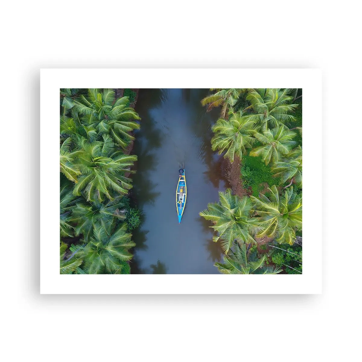 Affiche - Poster - Sur un sentier tropical - 50x40 cm