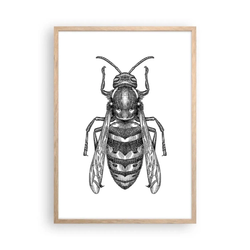 Affiche dans un chêne clair - Poster - D'une planète d'insectes - 50x70 cm