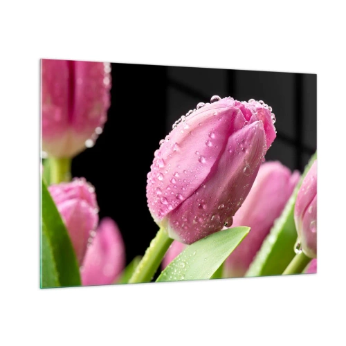 Impression sur verre - Image sur verre - Tulipes roses couvertes de gouttes de rosée sur fond noir - 100x70cm - Rêve de lilas dans la rosée - Décoration murale moderne pour le salon et la chambre ARTTOR