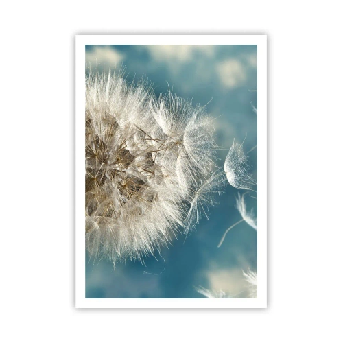 Affiche - Poster - souffle d'ange - 70x100 cm