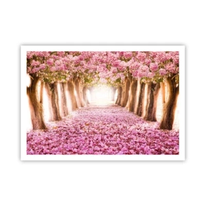 Affiche - Poster - Une avenue d'arbres fleuris aux tons roses - 100x70cm - La route du paradis - Décoration murale moderne pour le salon et la chambre ARTTOR