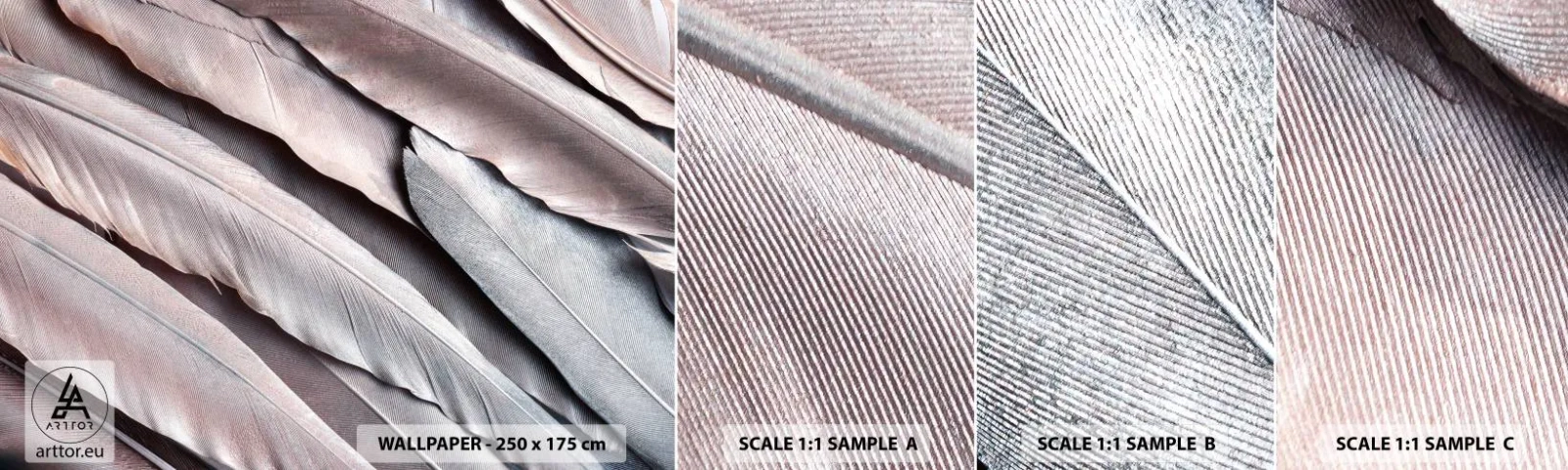 Échantillon De Papier Peint Standard Eco - En argent rose - Plume oiseau, Graphique, Bohème - 100x30 cm