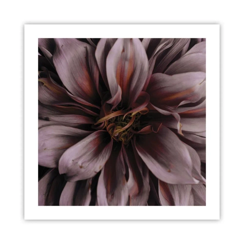 Affiche - Poster - Un coeur fleuri - 50x50 cm