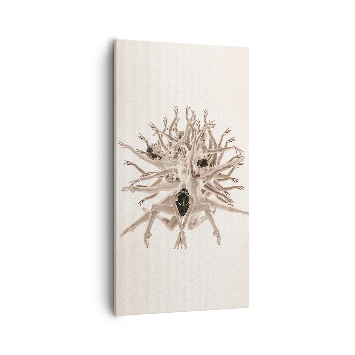 Impression sur toile - Image sur toile - S'épanouir en danse - 55x100 cm