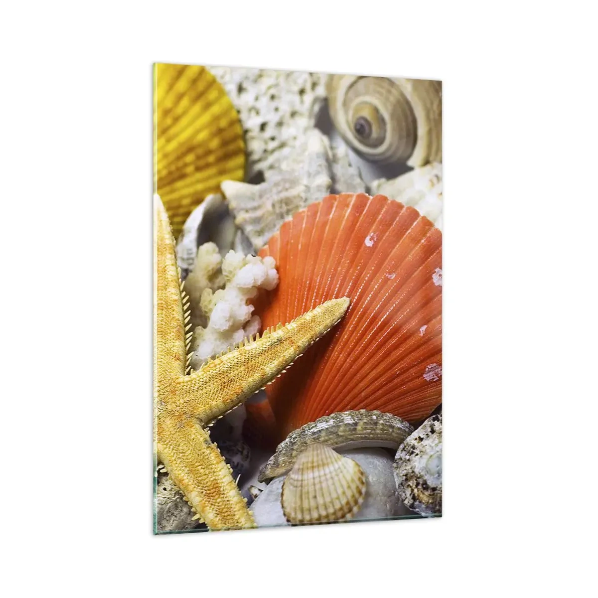Impression sur verre - Image sur verre - Coquillages et étoiles de mer dans une composition marine - 80x120cm - Trésors de l'océan - Décoration murale moderne pour le salon et la chambre ARTTOR