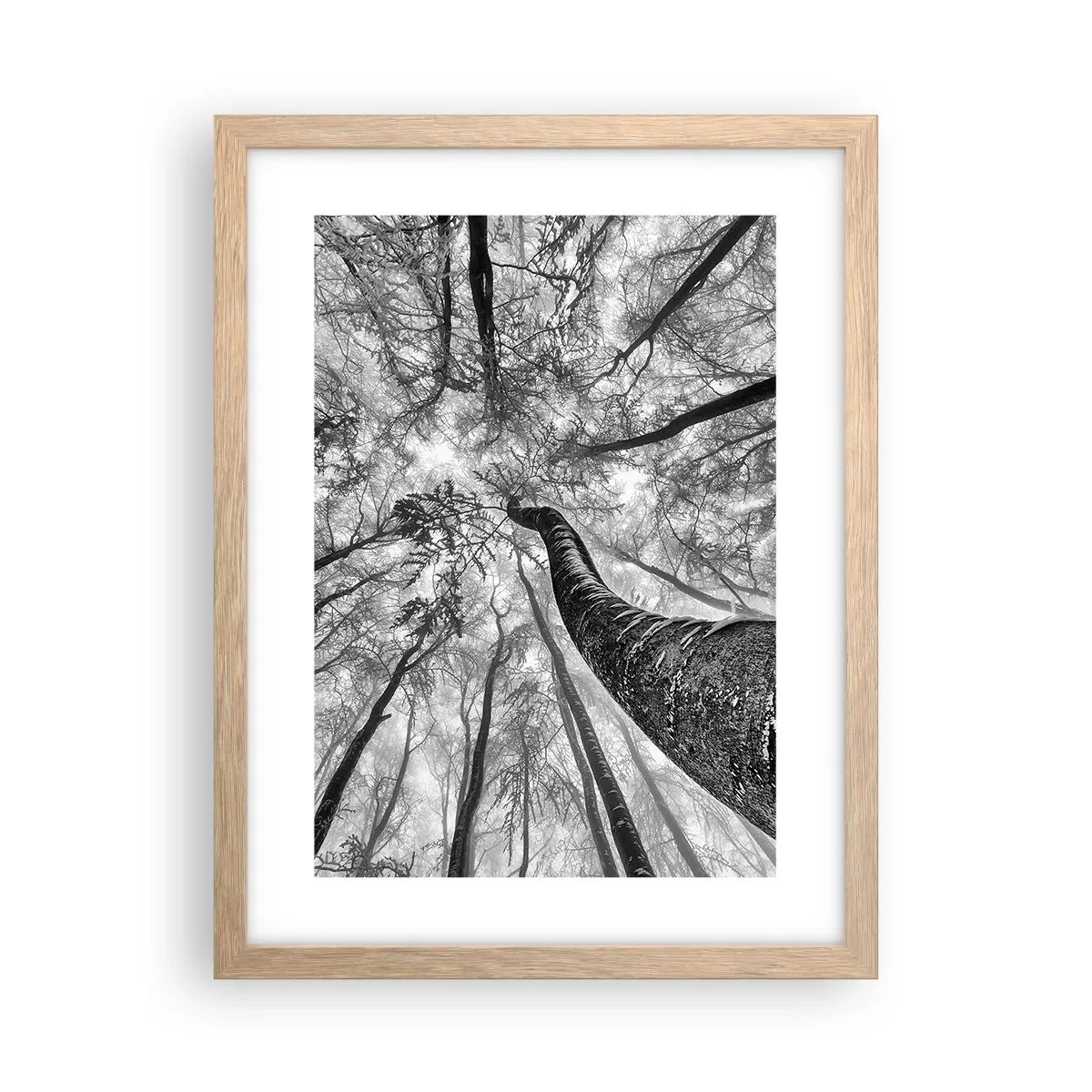 Affiche dans un chêne clair - Poster - Course vers la lumière - 30x40 cm