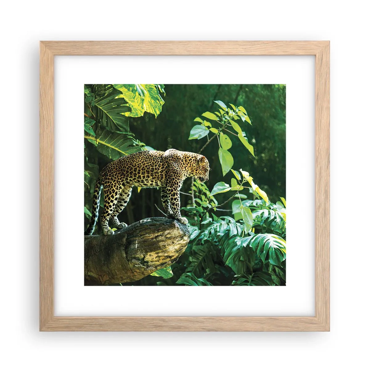 Affiche dans un chêne clair - Poster - À la chasse? - 30x30 cm