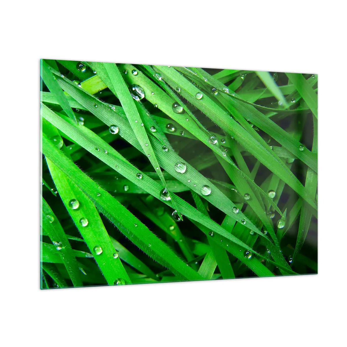 Impression sur verre - Image sur verre - Des brins d'herbe verts avec des gouttes de rosée - 100x70cm - Jouez dans le vert - Décoration murale moderne pour le salon et la chambre ARTTOR