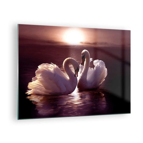 Impression sur verre - Image sur verre - Deux cygnes sur l'eau à la lumière du soleil couchant - 70x50cm - Jusqu'à ce que la mort nous sépare - Décoration murale moderne pour le salon et la chambre ARTTOR