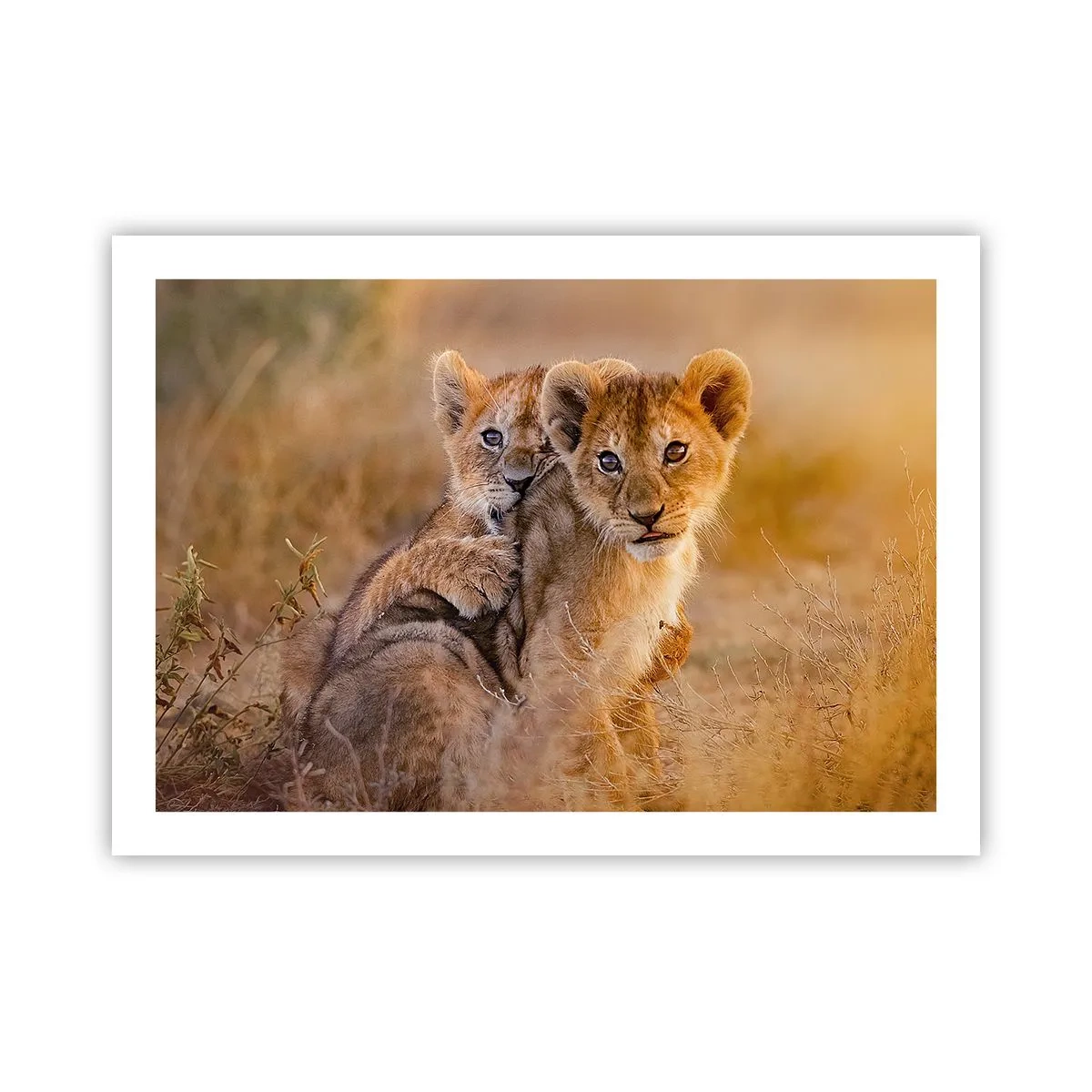 Affiche - Poster - Ne pas déranger! On s'amuse - 70x50 cm