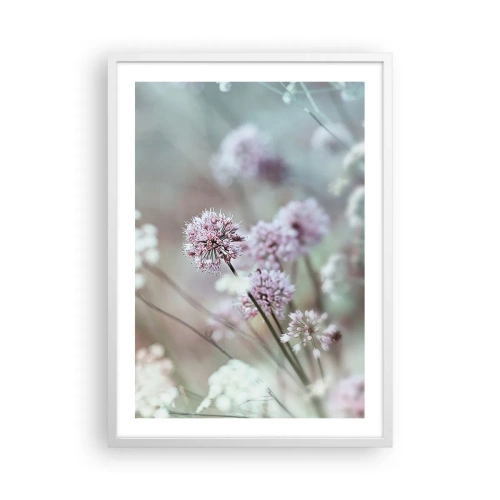 Affiche dans un cadre blanc - Poster - Herbes douces en filigrane - 50x70 cm