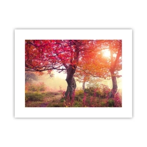 Affiche - Poster - Frénésie de floraison - 40x30 cm