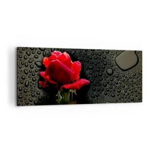 Impression sur toile - Image sur toile - Rose rouge avec des gouttes d'eau sur un fond sombre - 120x50cm - Rouge et noir - Décoration murale moderne pour le salon et la chambre ARTTOR