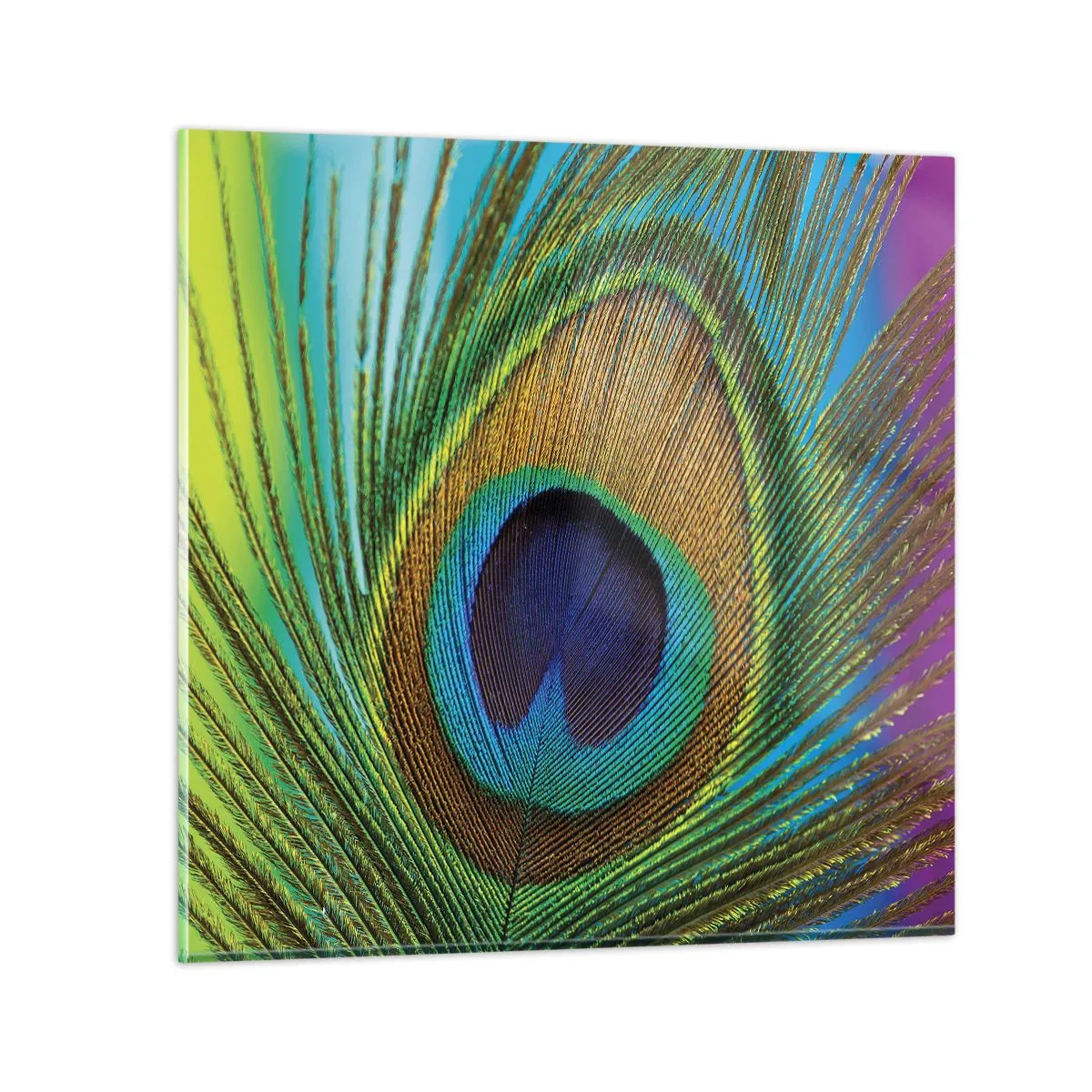 Impression sur verre - Image sur verre - Les yeux dans les yeux - 70x70 cm