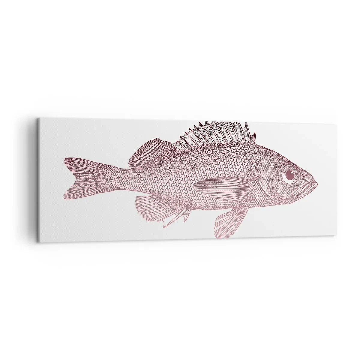 Impression sur toile - Image sur toile - Illustration détaillée d'un poisson sur fond blanc - 140x50cm - Poisson aux grands yeux - Décoration murale moderne pour le salon et la chambre ARTTOR