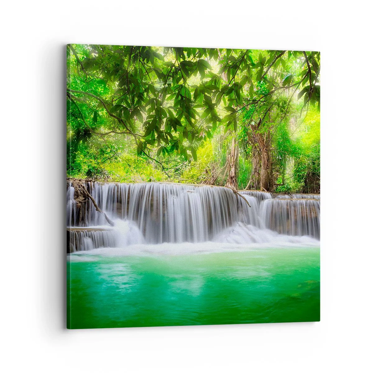 Impression sur toile - Image sur toile - Une cascade de vert - 70x70 cm