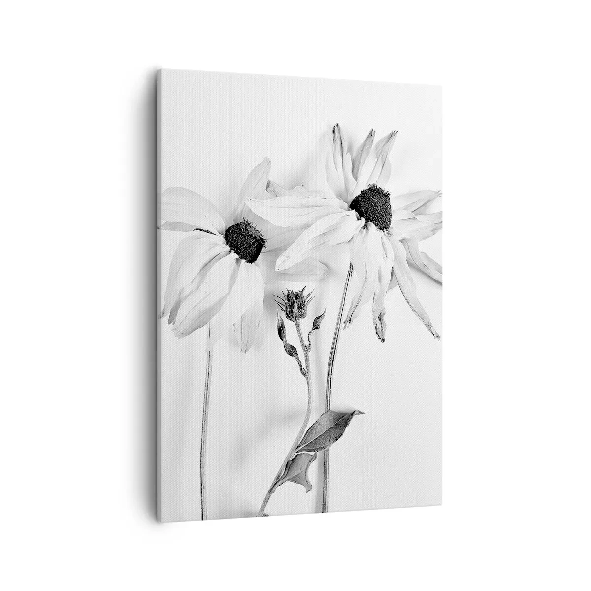 Impression sur toile - Image sur toile - Fleurs noires et blanches avec une composition subtile - 50x70cm - Personne ne souhaite être seul - Décoration murale moderne pour le salon et la chambre ARTTOR