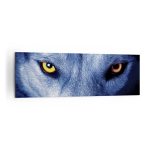 Impression sur toile - Image sur toile - Gros plan du regard intense d'un loup sur un fond sombre - 160x50cm - Regars hypnotique - Décoration murale moderne pour le salon et la chambre ARTTOR