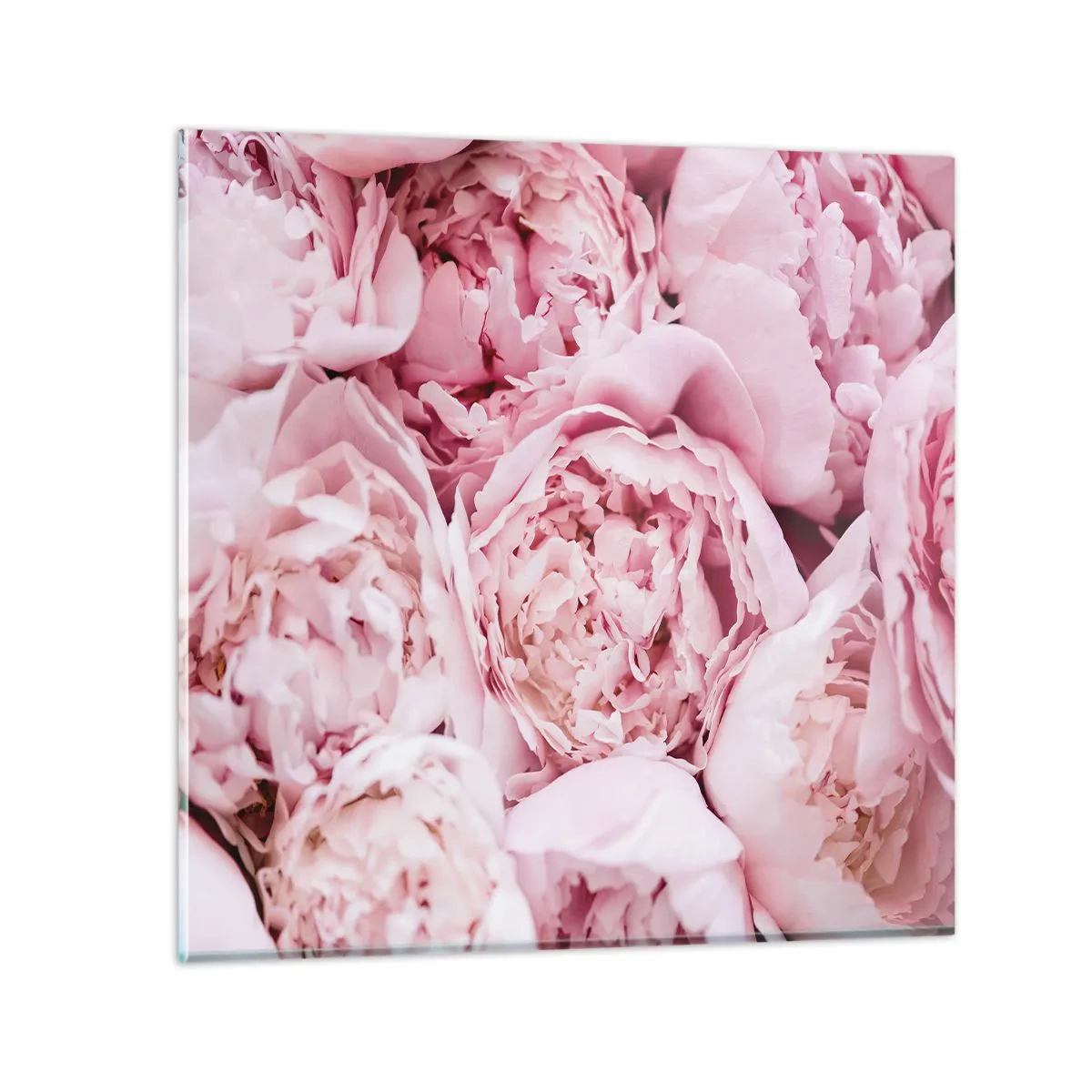 Impression sur verre - Image sur verre - Caliné et parfumé - 50x50 cm