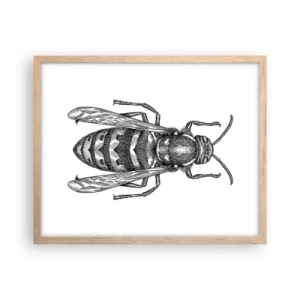 Affiche dans un chêne clair - Poster - D'une planète d'insectes - 50x40 cm